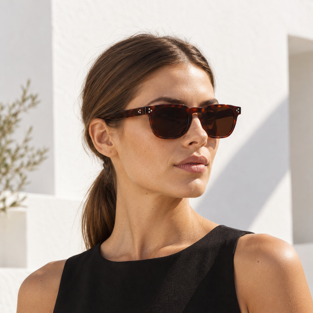 TANSY Panto Acetate Sunglasses — 3