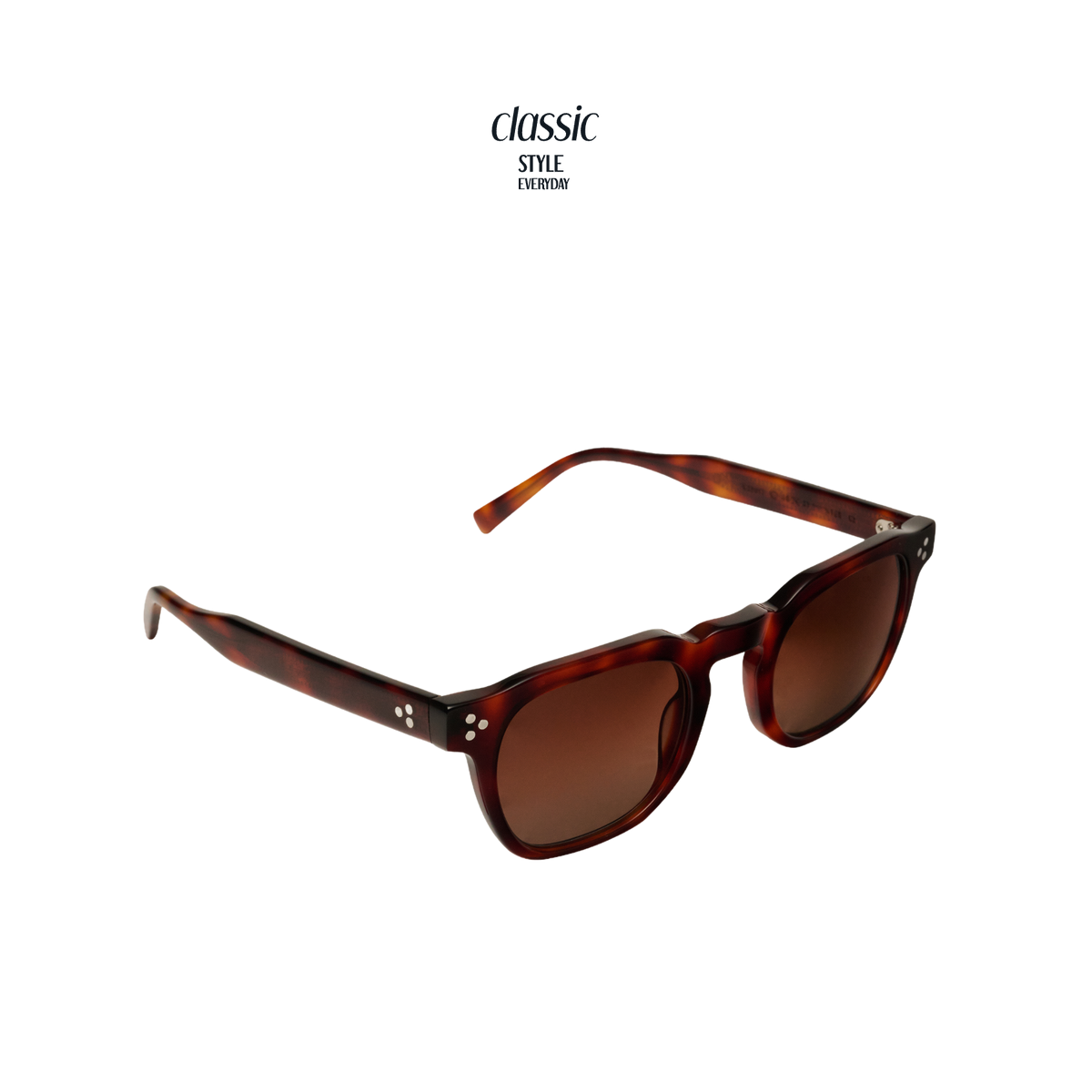 TANSY Panto Acetate Sunglasses — 4
