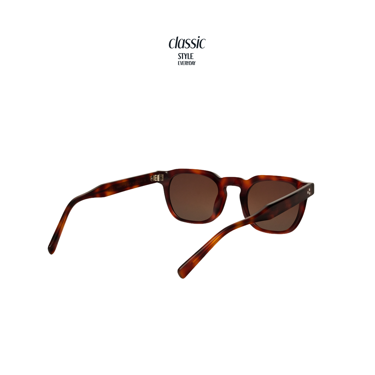 TANSY Panto Acetate Sunglasses — 5