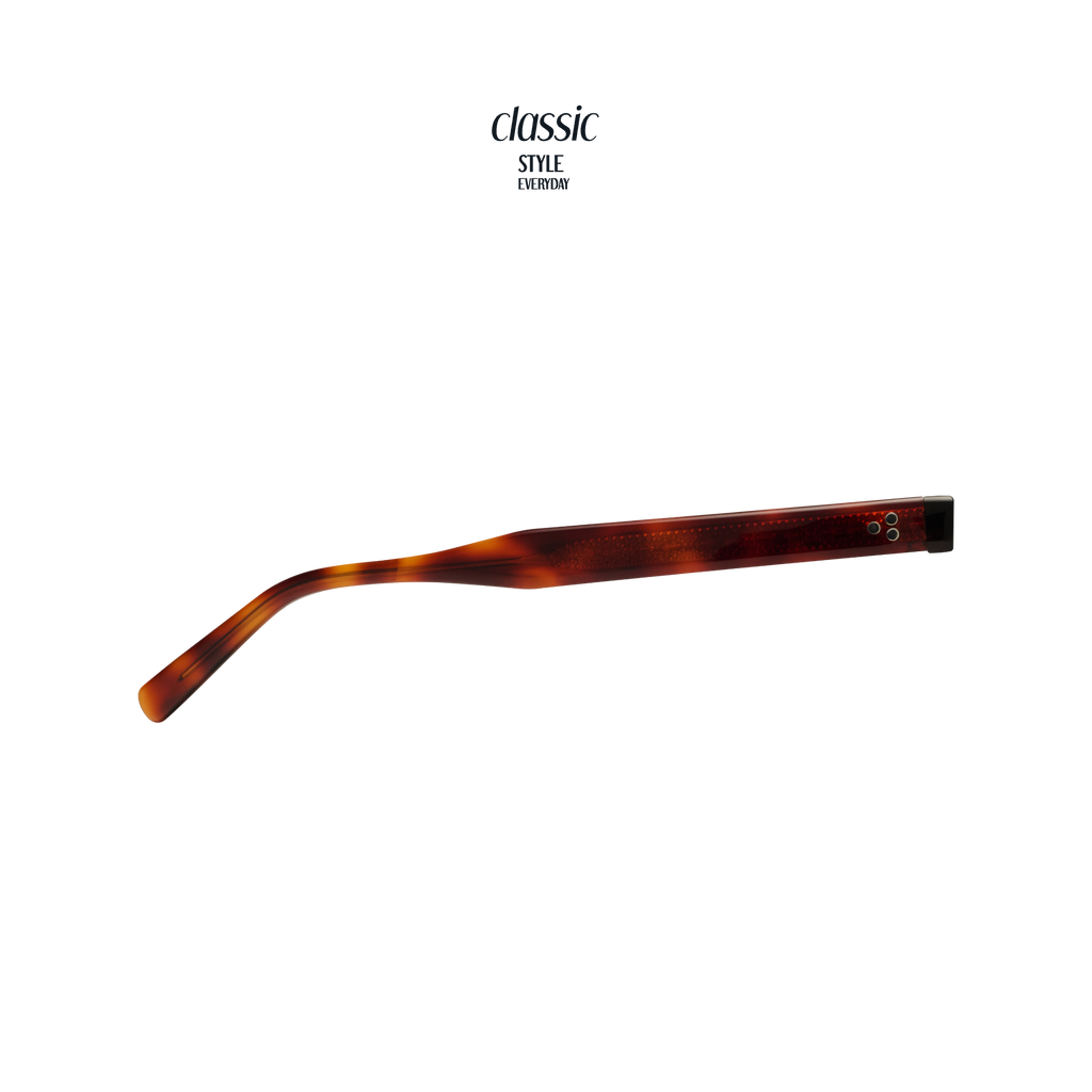 TANSY Panto Acetate Sunglasses — 6