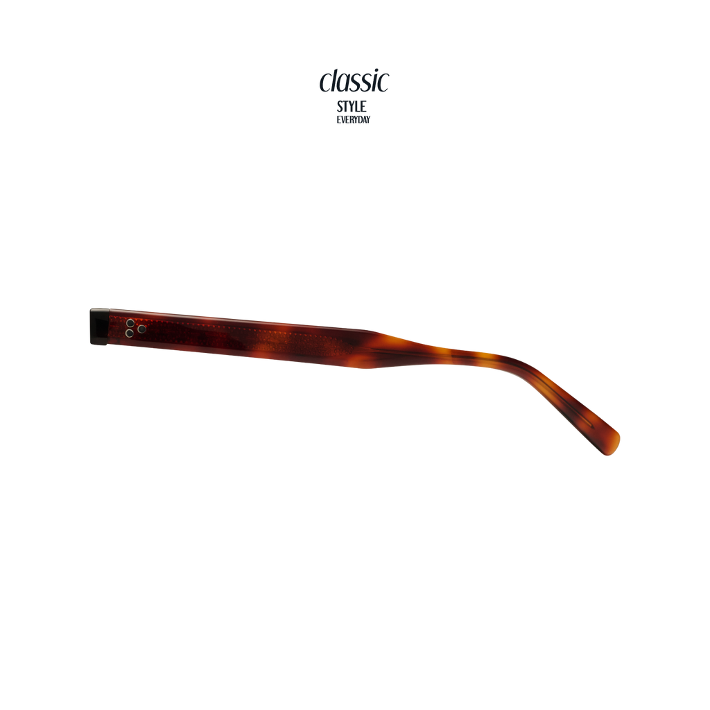 TANSY Panto Acetate Sunglasses — 7
